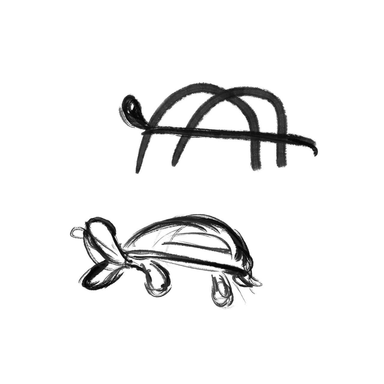 Lake Austin Turtles 360 Premium Tee